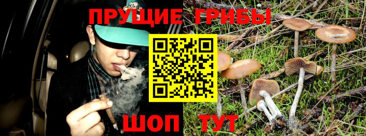 Псилоцибиновые грибы GOLDEN TEACHER Заволжье