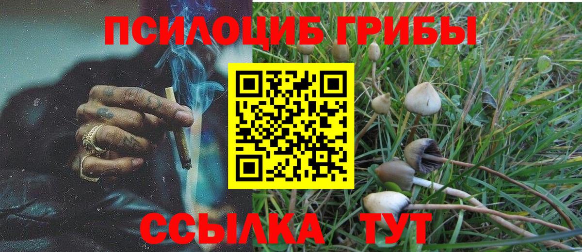 Заволжье  Галлюциногенные грибы мицелий  Галлюциногенные грибы Magic Shrooms  Вход с VPN 